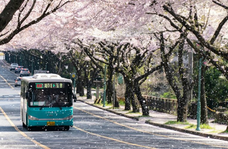 교통 인프라의 명암: GTX-B 청학역 확정과 고속도로 통행료 면제의 딜레마
